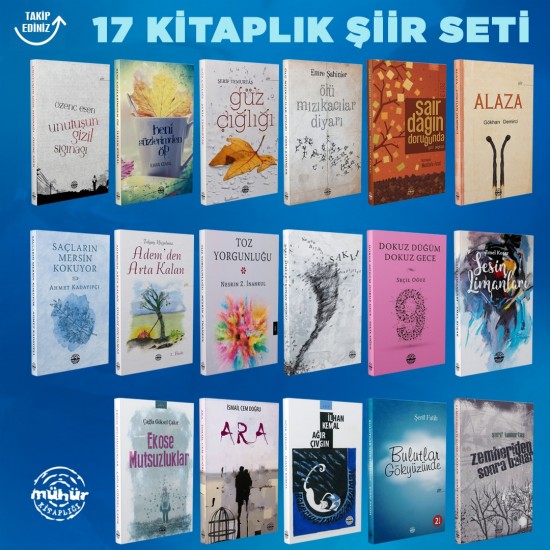 17 Kitaplık Şiir Seti